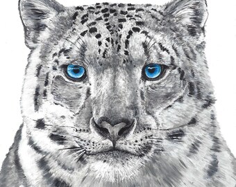 Icy Gaze - Snow Leopard (Original)