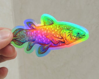 Psychedelic Rainbow Coelacanth Fish Trippy Holographic Vinyl Stickers