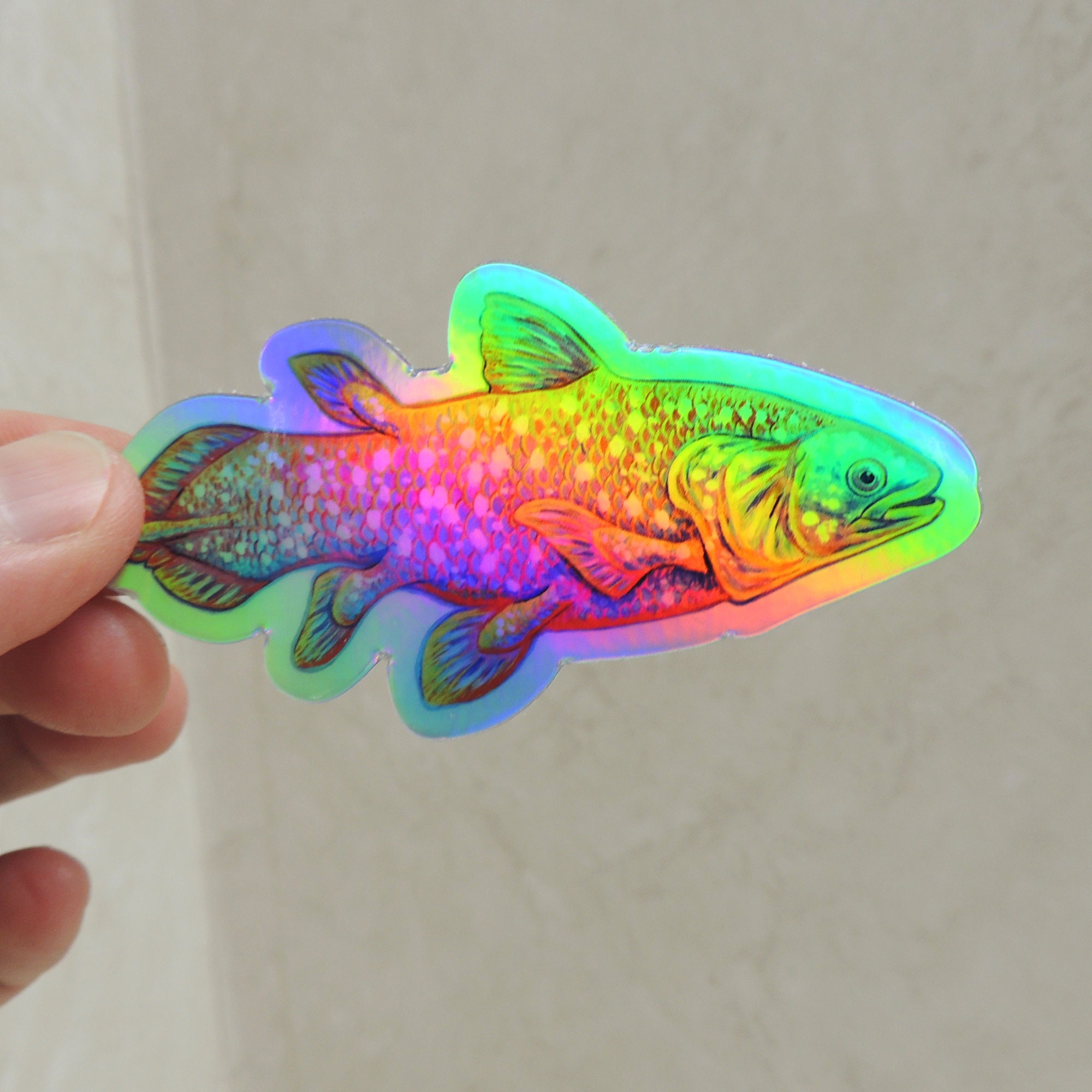 Holographic Fish 