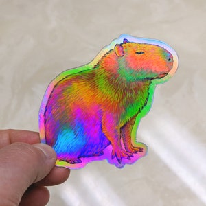 Psychedelic rainbow capybara vinyl die cut holographic sticker