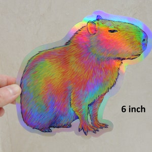 Psychedelic Rainbow Cute Capybara Trippy Holographic Vinyl Stickers 6 inch