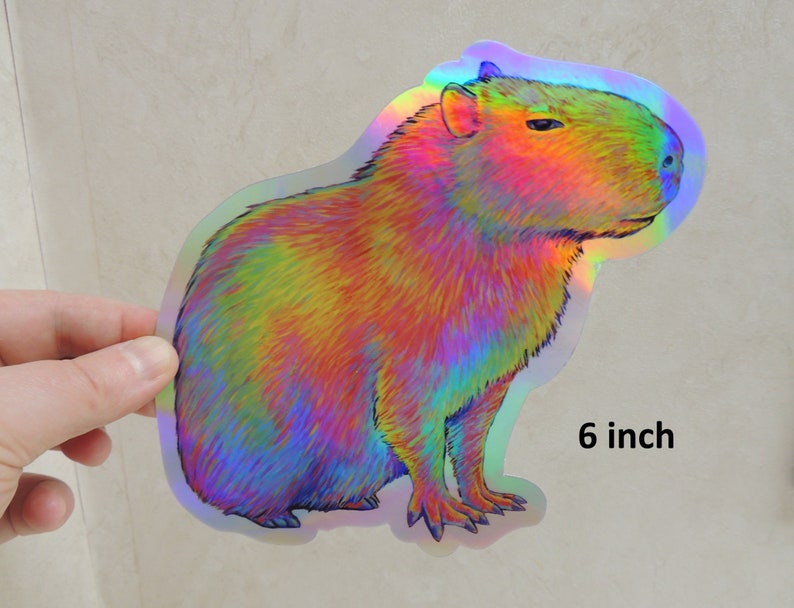 Psychedelic Rainbow Cute Capybara Trippy Holographic Vinyl Stickers 6 inch