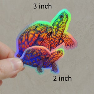 Psychedelic Rainbow Cute Eastern Box Turtle Tortoise Holographic Vinyl Sticker Trippy Groovy Animal Decals image 7