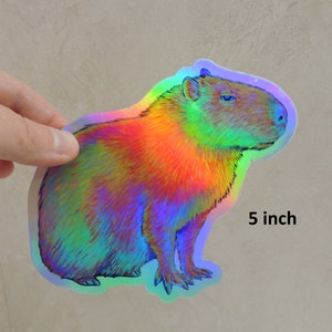 Psychedelic Rainbow Cute Capybara Trippy Holographic Vinyl Stickers 5 inch