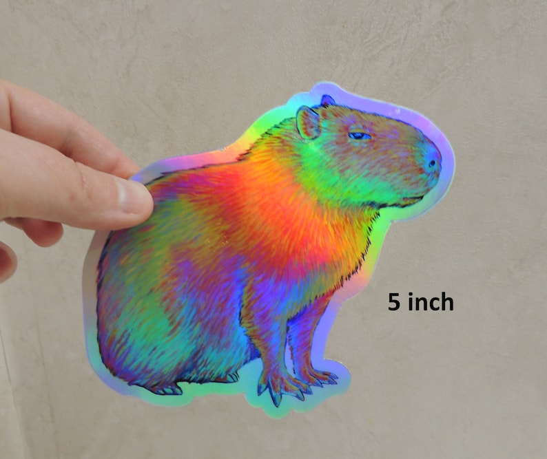 Psychedelic Rainbow Cute Capybara Trippy Holographic Vinyl Stickers 5 inch