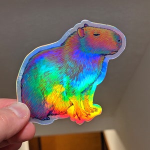 Psychedelic rainbow capybara vinyl die cut holographic sticker