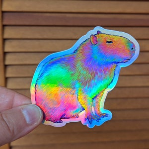 Psychedelic rainbow capybara vinyl die cut holographic sticker