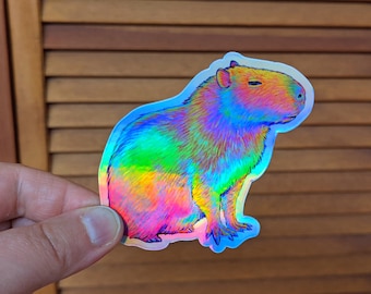 Psychedelic Rainbow Cute Capybara Trippy Holographic Vinyl Stickers