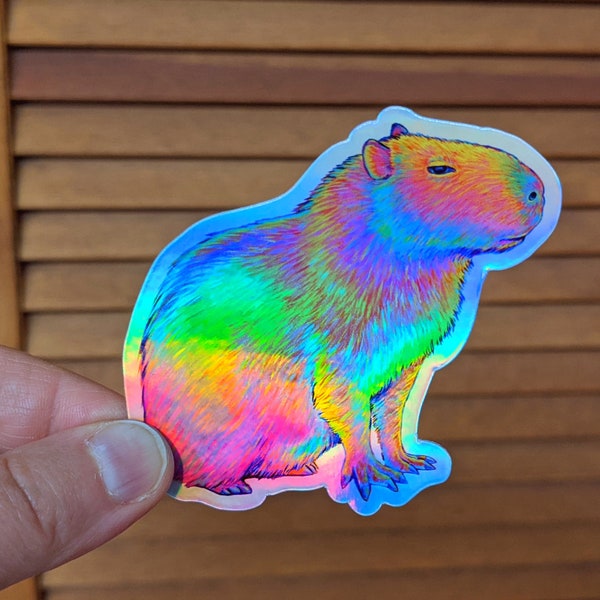 Psychedelic Rainbow Cute Capybara Trippy Holographic Vinyl Stickers