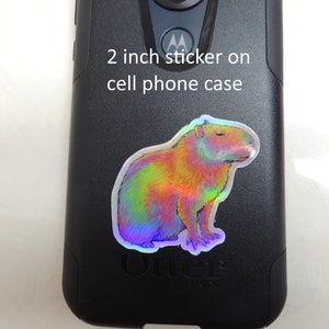 Psychedelic Rainbow Cute Capybara Trippy Holographic Vinyl Stickers 2 inch