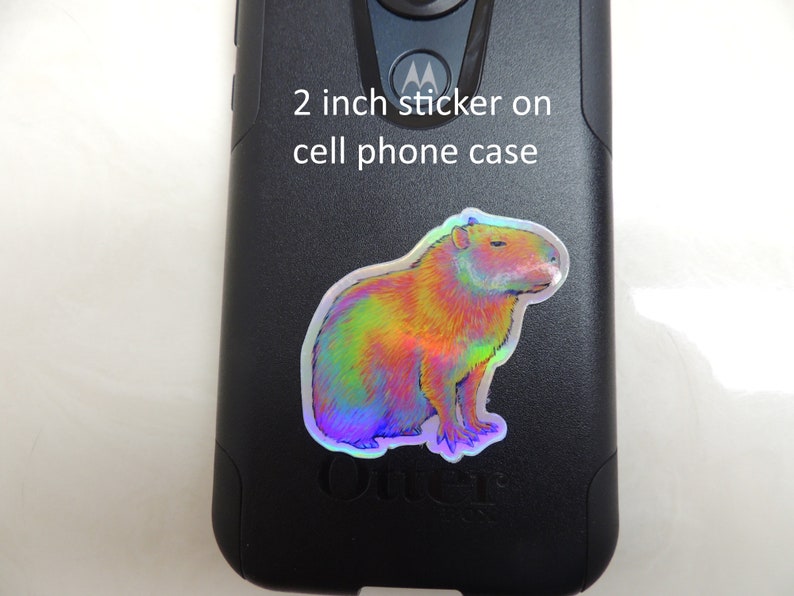 Psychedelic Rainbow Cute Capybara Trippy Holographic Vinyl Stickers 2 inch