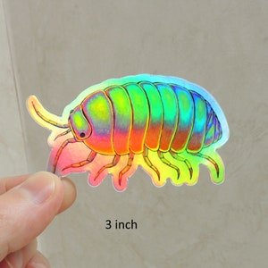 Psychedelic Rainbow Roly Poly Trippy Isopod Groovy Woodlouse Hippie Holographic Vinyl Stickers image 3