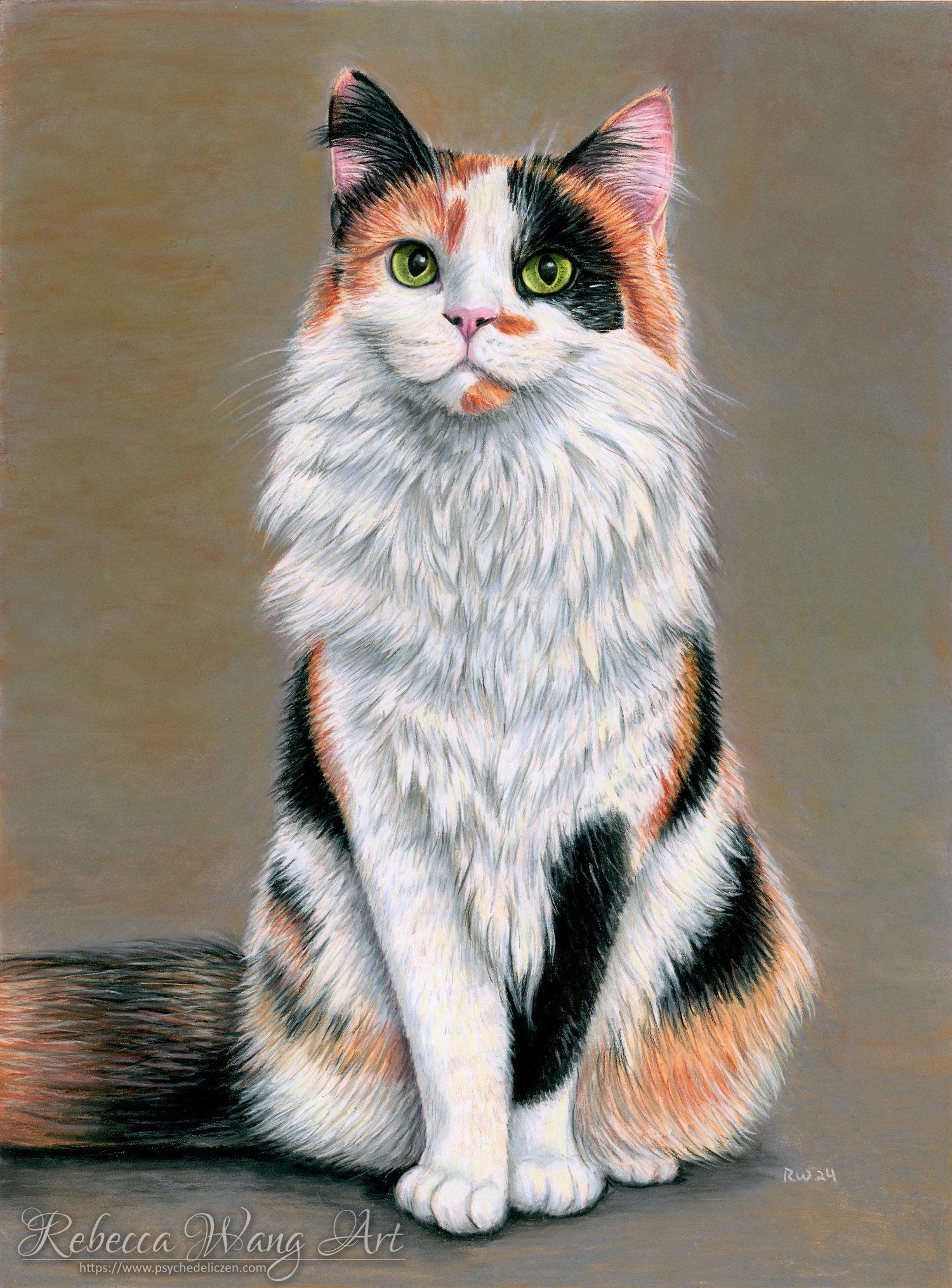 Custom Pet Portrait Pastel Drawing Painting Memorial of Your Pet Cat ...