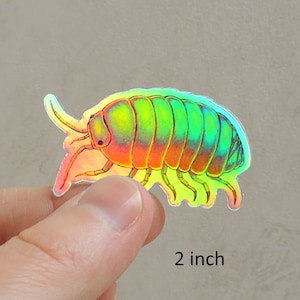 Psychedelic Rainbow Roly Poly Trippy Isopod Groovy Woodlouse Hippie Holographic Vinyl Stickers image 2