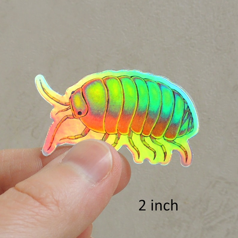 Psychedelic Rainbow Roly Poly Trippy Isopod Groovy Woodlouse Hippie Holographic Vinyl Stickers image 2