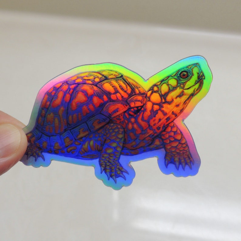 Psychedelic Rainbow Cute Eastern Box Turtle Tortoise Holographic Vinyl Sticker Trippy Groovy Animal Decals