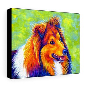 Colorful canvas art print of a rainbow colored Shetland Sheepdog (sheltie) showing the black sides