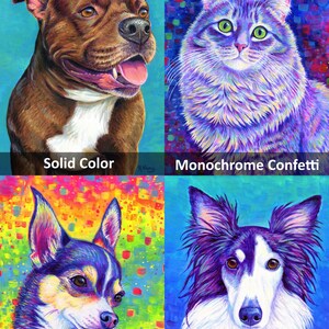 May include: Four different background styles for pet portraits are shown. The first image shows a brown and white pit bull with a solid blue background. The second image shows a gray and white cat with a purple, blue, and pink confetti background. The third image shows a black and white chihuahua with a rainbow confetti background. The fourth image shows a black and white border collie with a blue gradient background.