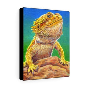 Canvas art print wall art portrait of a yellow bearded dragon lizard with a bright green and blue background. Black sides.