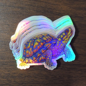 Psychedelic Rainbow Cute Eastern Box Turtle Tortoise Holographic Vinyl Sticker Trippy Groovy Animal Decals