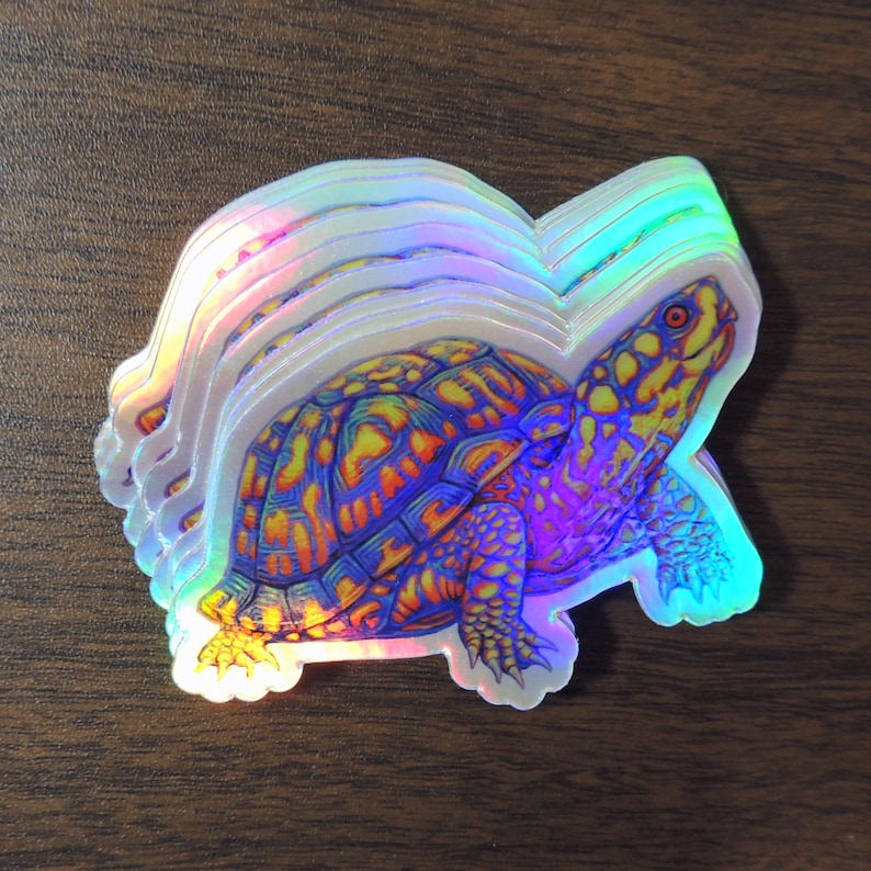 Psychedelic Rainbow Cute Eastern Box Turtle Tortoise Holographic Vinyl Sticker Trippy Groovy Animal Decals