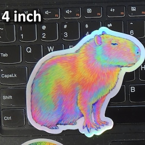 Psychedelic Rainbow Cute Capybara Trippy Holographic Vinyl Stickers 4 inch