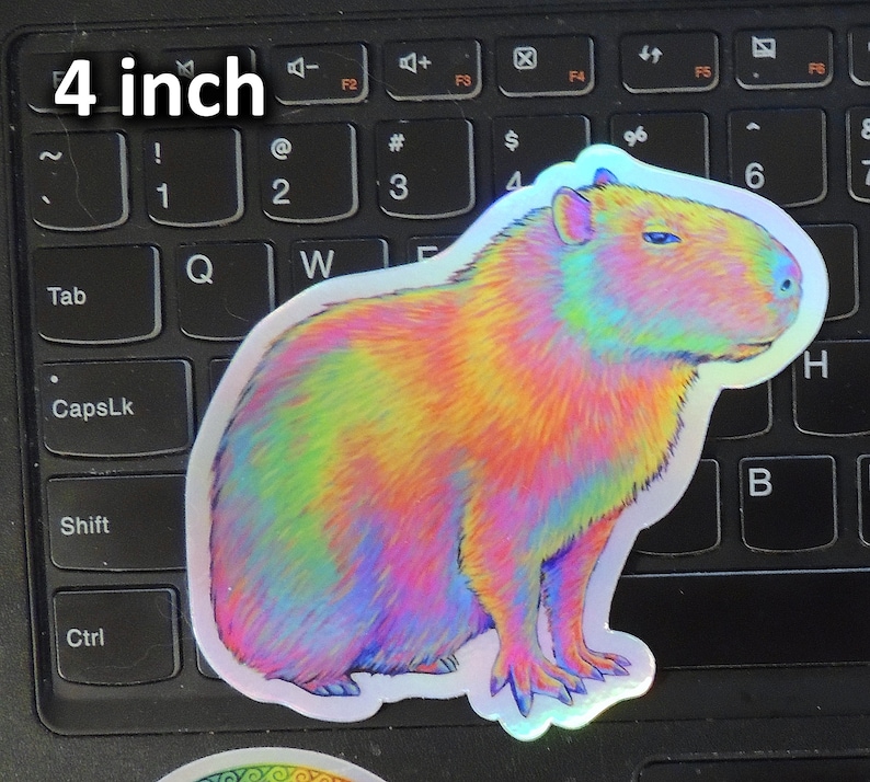 Psychedelic Rainbow Cute Capybara Trippy Holographic Vinyl Stickers 4 inch