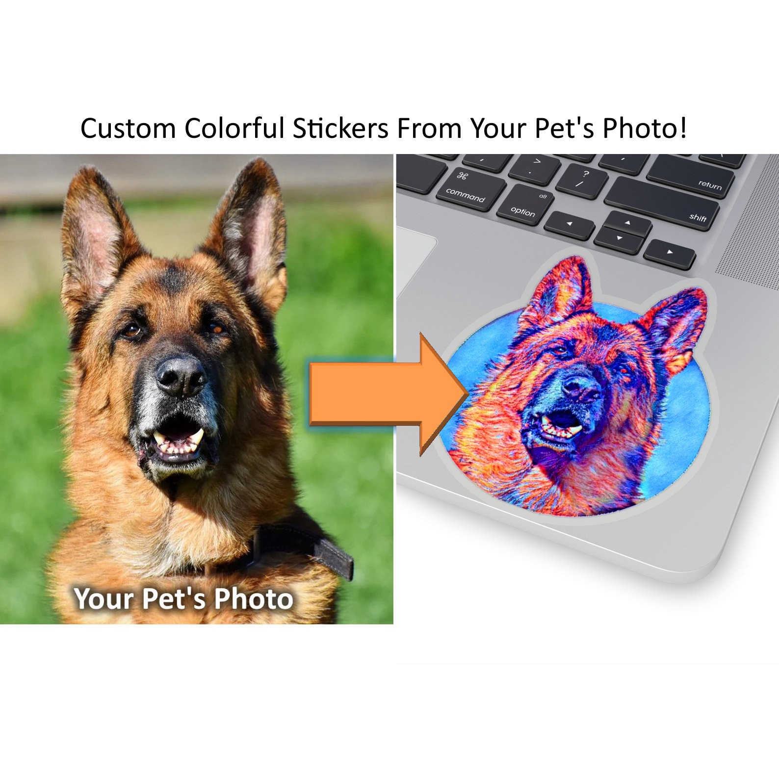 Colorable Pet Stickers Custom Colorful Pop Art Rainbow Vinyl Stickers From Your Pet's Photo ...