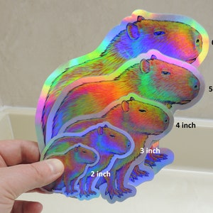 Psychedelic Rainbow Cute Capybara Trippy Holographic Vinyl Stickers image 2