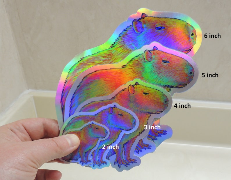 Psychedelic Rainbow Cute Capybara Trippy Holographic Vinyl Stickers image 2