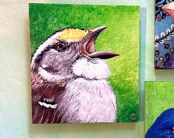 6.75''x7.5''x1/4'' Pájaro esponjoso graznador, cabeza amarilla, fondo verde.