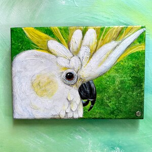 10.75&#39;&#39;x7.3&#39;&#39;x1/4&#39;&#39; Cockatoo, white with yellow crest, green back ground, acrylic painted on masonite.