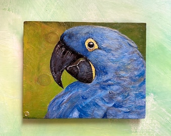 11''x8.75''x1/4'' Proud Blue Parrot, acrílico sobre panel de madera, lavado verde.