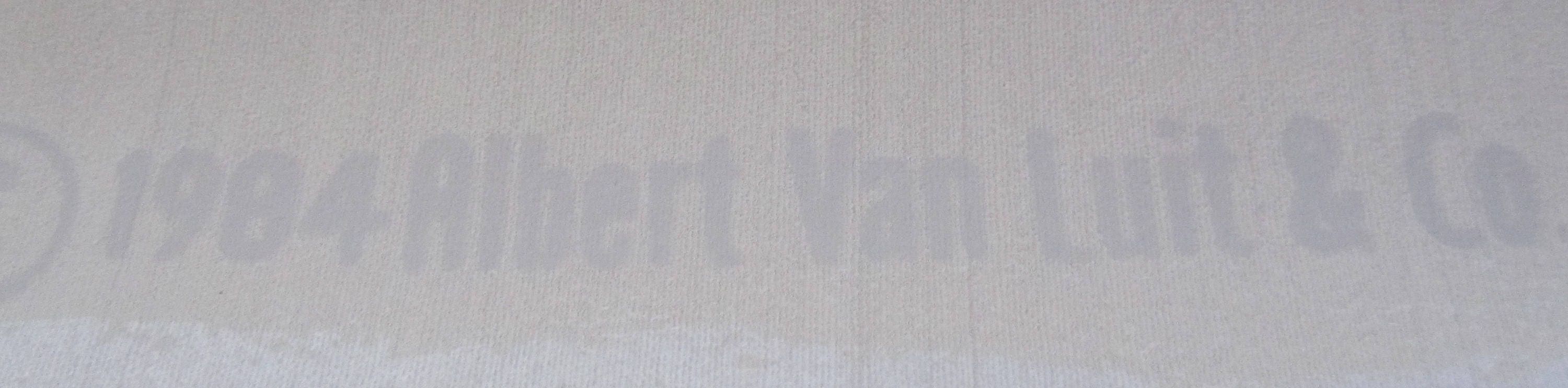 Albert Van Luit Wallpaper Mural charlton House Etsy