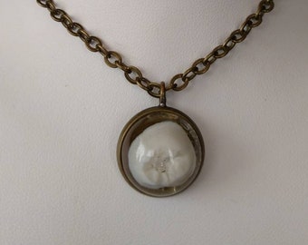 Real Human Crown Tooth Pendant, 113
