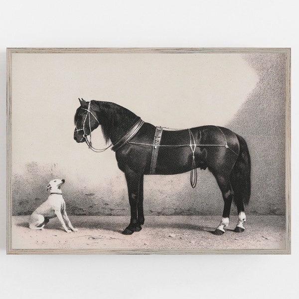 Horse and Dog | Vintage Wall Art | Lithograph | Antique Print | Vintage Horse Art | Animal Art | Digital DOWNLOAD | PRINTABLE Wall Art #161