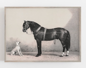 Vintage Horse and Dog Print: 19th Century Antique Art (Digital Download)