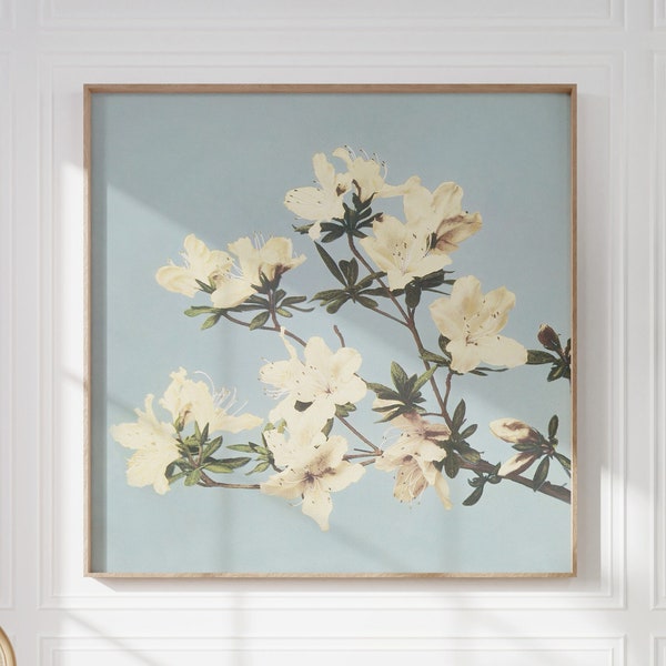 Japanese Azaleas Art | White Flowers Art | Vintage Wall Art | Pastel Colors | Antique Wall Decor | Digital DOWNLOAD | PRINTABLE Art #279