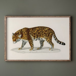 Jaguar Wall Art, Vintage Wall Art, Vintage Jaguar Print, Muted Neutral Colors, Pacing Jaguar Art, DIGITAL DOWNLOAD, PRINTABLE Wall Art #300