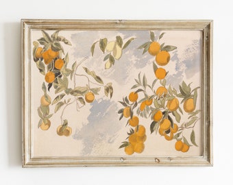 Oranges Wall Art | Vintage Wall Art | Farmhouse Kitchen Decor | Fruit Wall Art | Citrus Print | Country Wall Decor | PRINTABLE Art #19