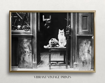 May include: Black and white framed print featuring two cats, one seated on a small wooden chair and the other beside it. The print is labeled "VIBRANT VINTAGE PRINTS" at the bottom. The background shows a doorway and a shop window.