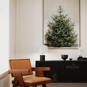 May include: A framed botanical print of a green evergreen tree hangs above a black cabinet. A mid-century modern chair with a brown wooden frame and orange leather seat sits in front of the cabinet. A white lamp with a black base is on the cabinet.