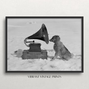 May include: A black and white photo of a dog listening to a gramophone in the snow. The gramophone is labeled "Capt. Scott's Antarctic Expedition 1910".