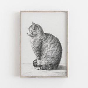Vintage Cat Etching Print: 19th Century Feline Sketch (Digital Download)