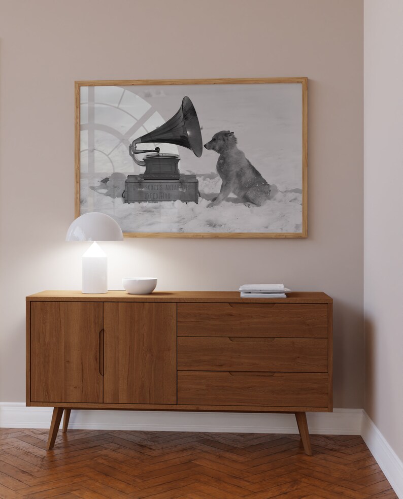 May include: A black and white photograph of a dog listening to a vintage gramophone. The dog is sitting in the snow and the gramophone is on a wooden box. The photograph is framed in a light wood frame and hanging on a light beige wall above a wooden cabinet.