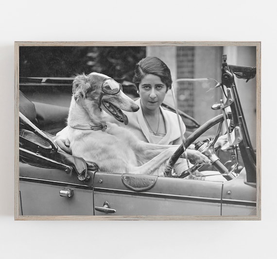 Funny Dog Art, Black and White Art, Dog Driving Car, Vintage Wall Art, Dog Driver, Woman and Dog, DIGITAL DOWNLOAD, PRINTABLE Wall Art