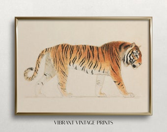 Tiger Wall Art, Vintage Wall Art, Vintage Tiger Print, Muted Neutral Colors, Pacing Tiger Art, DIGITAL DOWNLOAD, PRINTABLE Wall Art #284