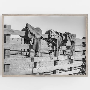 K&ouml;nnte beinhalten: Schwarzwei&szlig;foto von vier S&auml;tteln, die an einem Holzzaun h&auml;ngen. Die S&auml;ttel sind aus Leder und haben aufwendige N&auml;hte. Der Zaun ist aus verwittertem Holz und hat einen rustikalen Look.