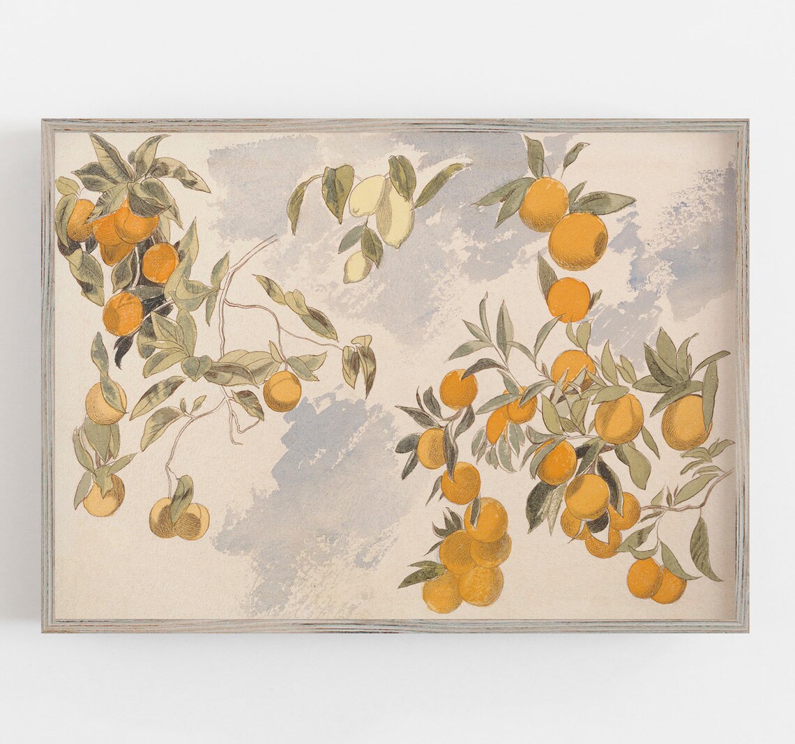 Oranges Wall Art Vintage Wall Art Farmhouse Kitchen Decor - Etsy