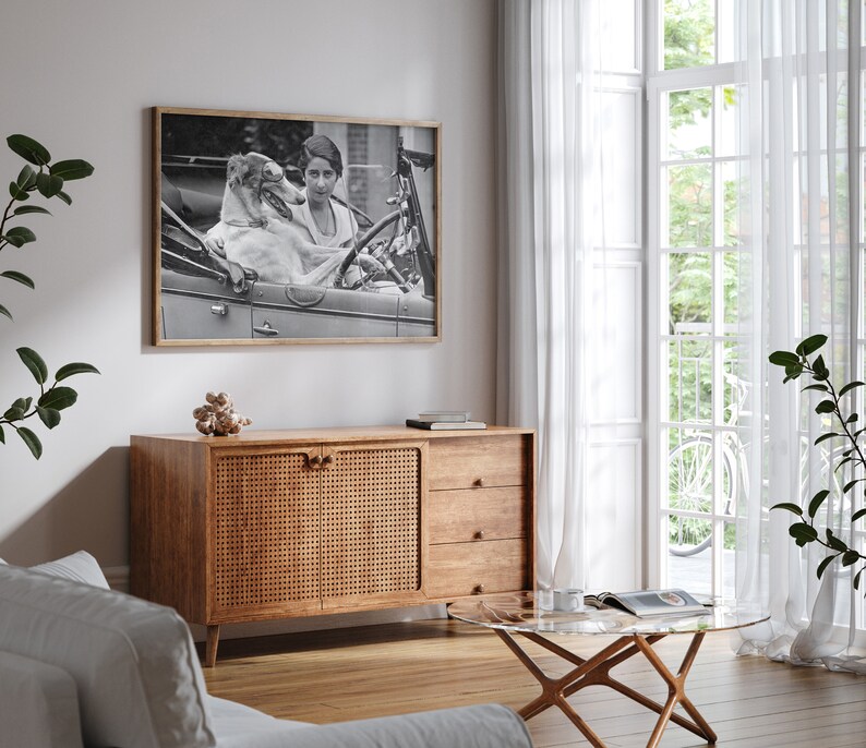 May include: Black and white framed photograph of a woman and a dog in a vintage car. The photograph is displayed above a wooden cabinet with a woven door. A glass coffee table and white curtains are also visible.